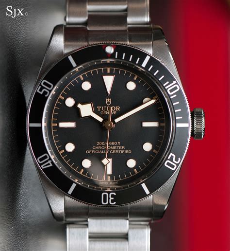 falsi tudor black bay|tudor rose black bay.